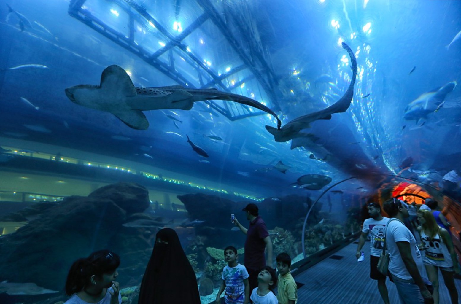 A Day in Dubai: Exploring the Aquarium & Underwater Zoo