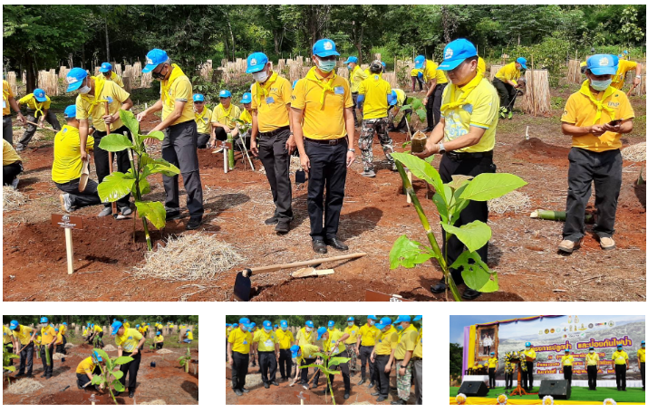 Reforestation project conducted in honor of HM King