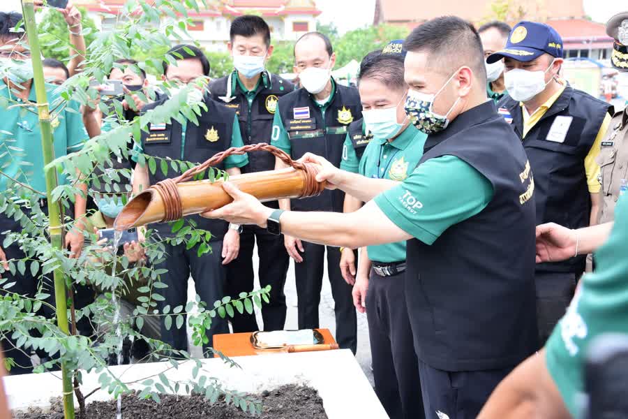 Environment Minister plants trees on National Tree Day